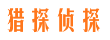 江海市调查公司